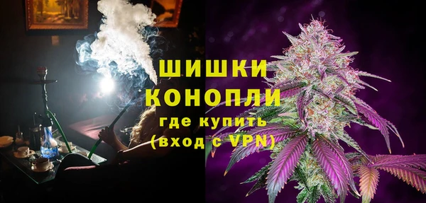 индика Пролетарск