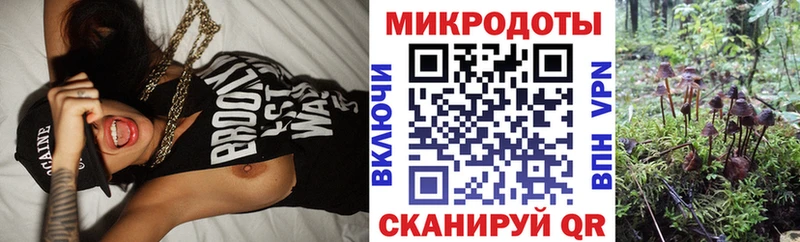Галлюциногенные грибы GOLDEN TEACHER  Алупка 
